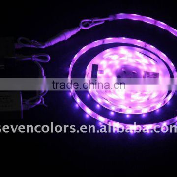 SMD5050 Colour Changing LED Flexible Strip Light (SC-D114D)