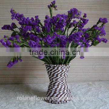 Best Selling Natural Myosotis Sylvatica Flower photo-3