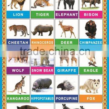 Animal kids wall chart for baby learning