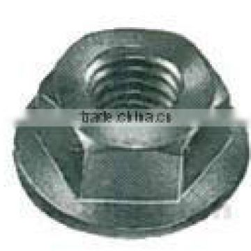 High Quality Stainless Steel T Bolt Screwed Fitting