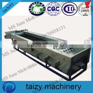 china factory machine wheat grading machine