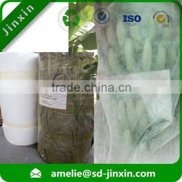 Medical fabric fruit banana net grow bags