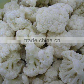 IQF frozen Cauliflower with good quality for sale