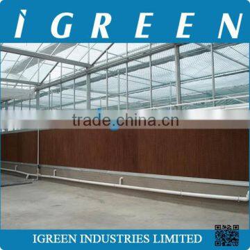 Agricultural Glass Greenhouse for Aquaponics photo-4