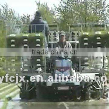6 rows 1300-2000m2/h rice paddy transplanter machine of factory
