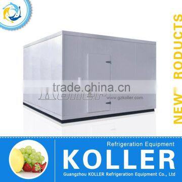 Koller top quality 12 tons cold storage room with freezer and refrigerator for fishing VCR40