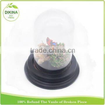 Bulk Buy From China Butterfly , Tillandsia Plants , Miniature Fairy Garden in 30cm Dome Clear Figurine Display Glass Cloche photo-4