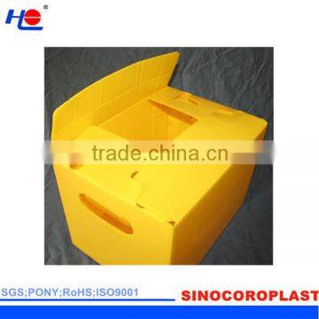 protective and anti-static plastic polypropylene impact tesistance box