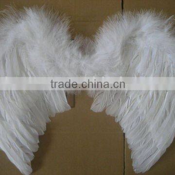 beautiful soft angel wing-1