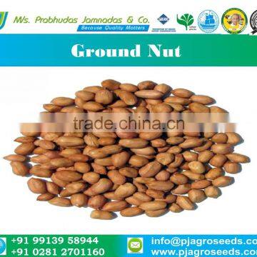 Rajasthan 2015 Groundnut