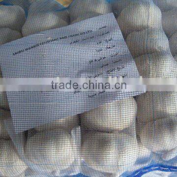 supply good quality garlic with lower price