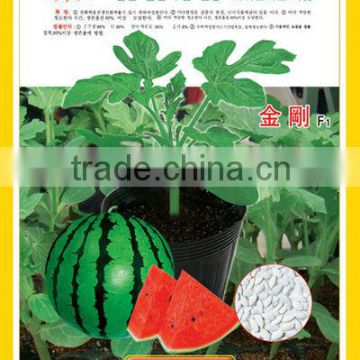 2014 New Melon Watermelon Root Stock Seeds For Sale