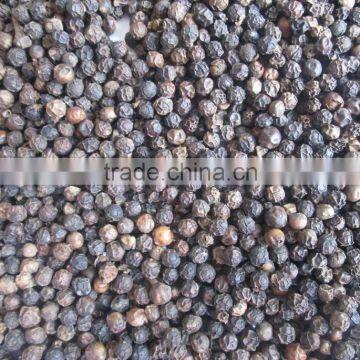 VIETNAM BLACK PEPPER HIGH QUALITY (skype &yahoo: visimex08)