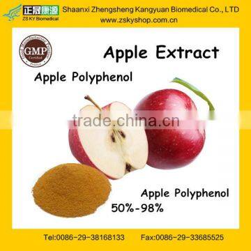 Best selling Apple Polyphenol from GMP supplier / Apple Extract