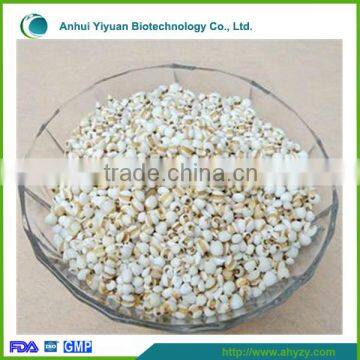 High quality and competitive Semen Coicis(Yi yi ren)