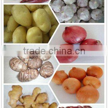 Authenticated GAP fresh Table Potato Export to Malaysia