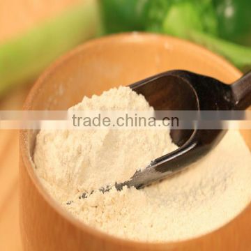 Professional Supplier Garlic Powder Price