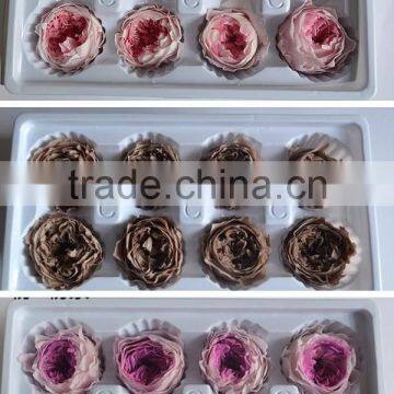 Wedding Favors Preserved Austin Rose Flower Wholesale Approximately 4.5cm Diameter photo-3