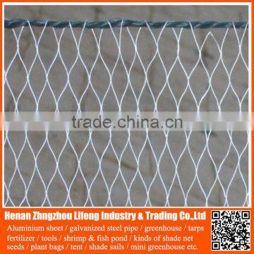 virgin hdpe agricultural anti bird net , nylon netting fabric protect fruits trees with uv