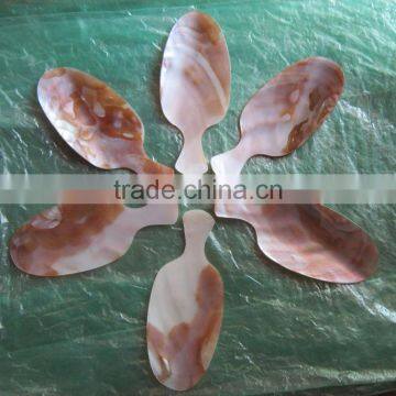 Spoon, high quality spoon, spoon made from natural seashell