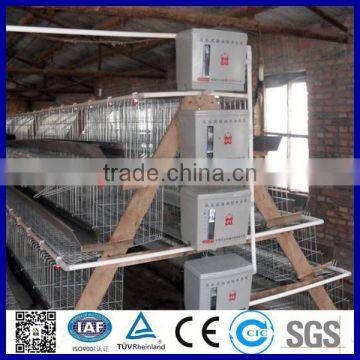 Battery chicken layer cage sale for Pakistan farm