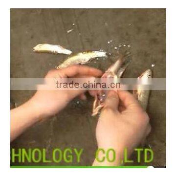 2017hot Selling Small Fish Gutting Machine/fish Organs Remover Machine/fish/ Belly-open Machine photo-2