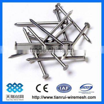 Good Quality Iron Nail With Polished Finish (ISO)