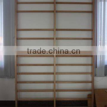 Indoor Gym Equipment for Kids photo-3