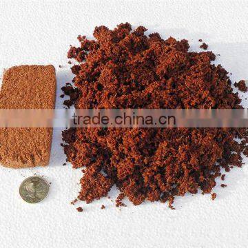 1000 kg Energy Saving Coco Peat Dryer/coir Fibre Rotary Dryer Special for Indonesia,Malaysia and the Philippines Coconut Shell photo-5