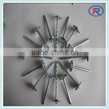 Roofing Nails Umbrella Head Galvanized Twisted Shank&BWG 8-13 Low Carbon Umbrella Head Polishing Galvanized Roofing Nail photo-3
