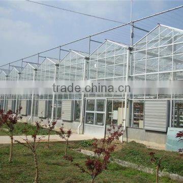 Hot Sale Multi Span Glass Greenhouse photo-3