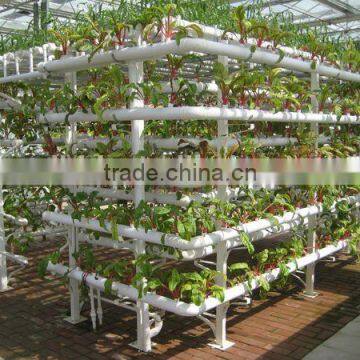 Galvanized Steel Structure Glass Covering Greenhouse photo-2