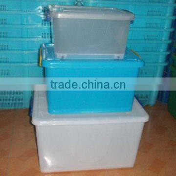 Plastic Mould