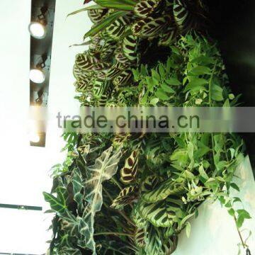 Home and Outdoor Decoration Synthetic Cheap Artificial Vertical Green Grass Wall E08 04R11 photo-4