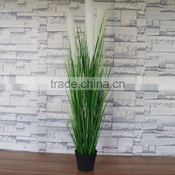 Decorative Plastic Reed photo-3