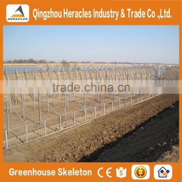 Heracles Low Cost Plastic Tunnel Greenhouses photo-6