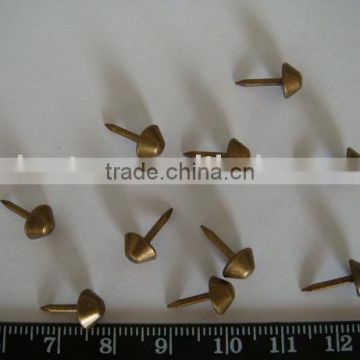 good quality iron cap nails(factory)