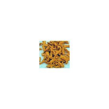 Organic Gingembre Extract/gingembre/gingembre Powder photo-3