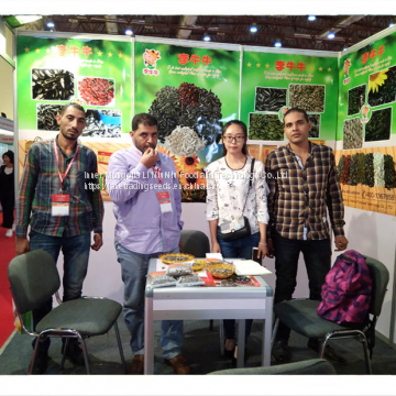 High Quality Turkish Sunflower Seed From Inner Mongolia photo-2