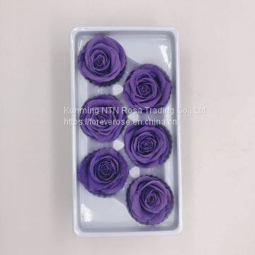 Preserved Fresh Roses Flower for Home Decoration photo-5