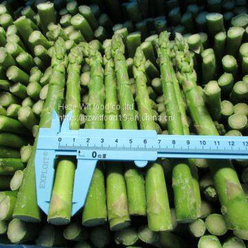 IQF Green Asparagus photo-4