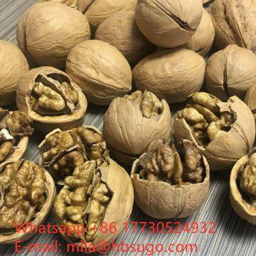 2020 The Best All Type New Crop Walnut Inshell photo-4