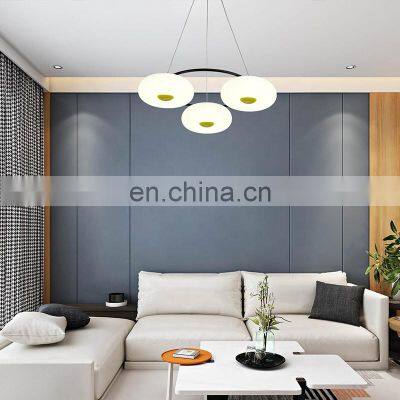 Home Hotel Decor Pendant Lamp
