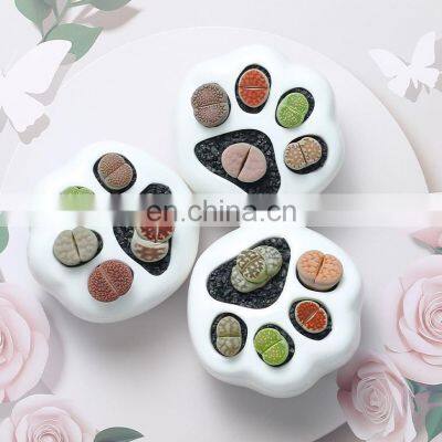 Simple White Creative Succulents Ceramic Cute Kitten Claw Treetop Planter Bamboo Stand Combination Potted Flowerpot