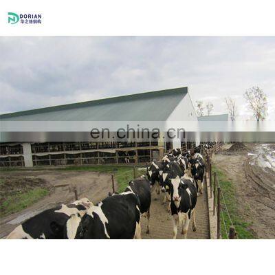 sound proof automated poultry house chicken house sheep shed house