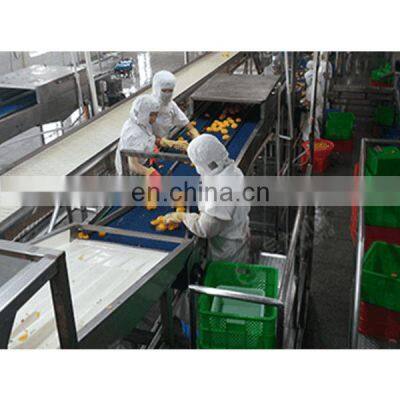 Tropical Fresh Fruit Production Line/Canned Yellow Peach Machine/processing Line photo-4