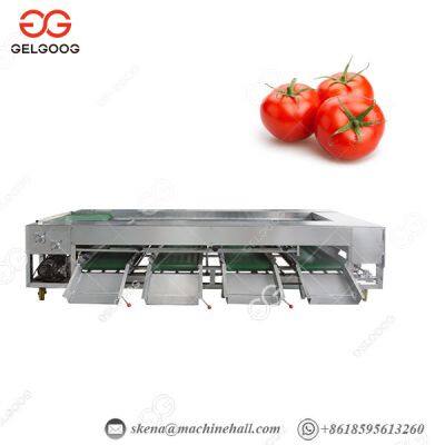 Fruit and Vegetable Processing Machine Tomato Washing Machine Pear Grading Machine