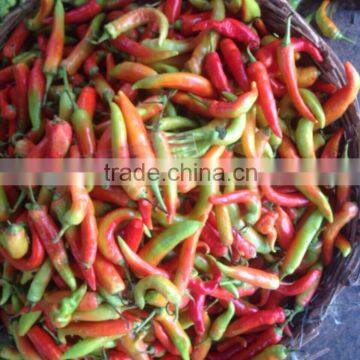 Banana Pepper in Brine photo-2