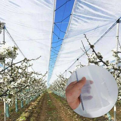 Cherry Rain Cover Tarpaulin