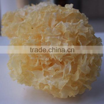 Dried Tremella Mushroom